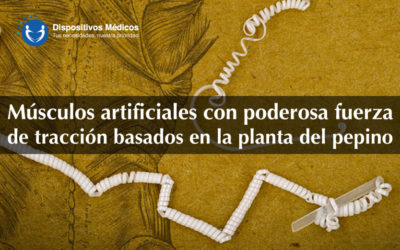 Músculos artificiales con poderosa fuerza de tracción basados en la planta del pepino.