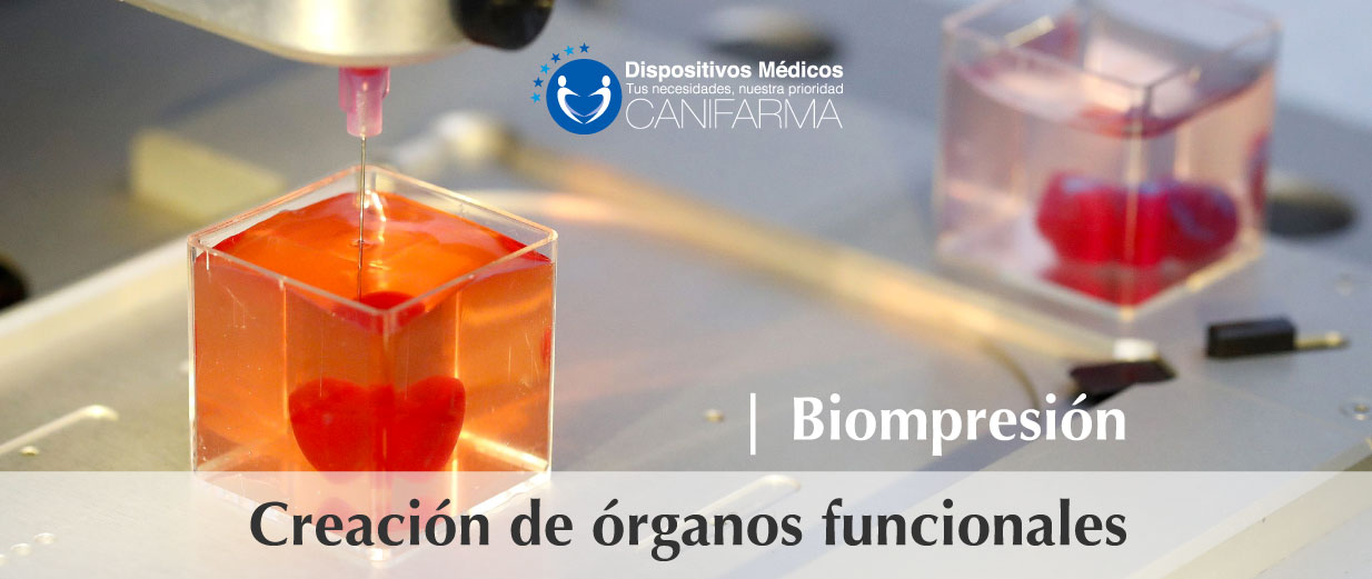Creación de órganos funcionales | Biompresión.