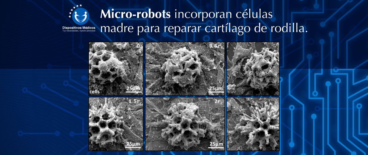 Micro-robots incorporan células madre para reparar cartílago de rodilla.