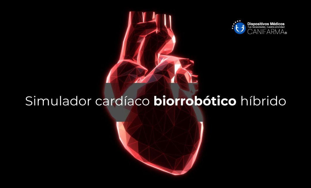Simulador cardíaco biorrobótico híbrido