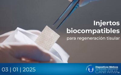 Injertos biocompatibles para regeneración tisular