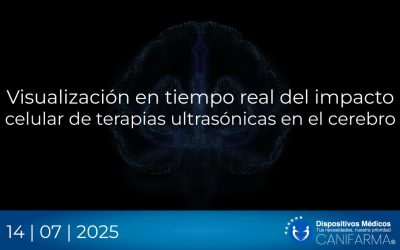 Visualización en tiempo real del impacto celular de terapias ultrasónicas en el cerebro