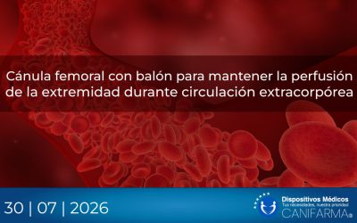 Cánula femoral con balón para mantener la perfusión de la extremidad durante circulación extracorpórea